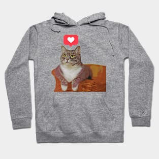 lovely cat Hoodie